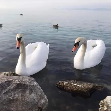 Apartamento Bodzavirág Balatonvilágos