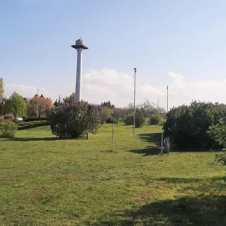 Bodzavirág * Balatonvilágos