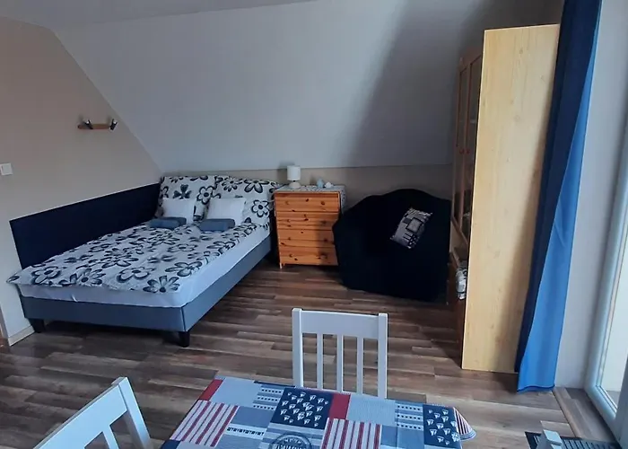 Bodzavirag Balatonvilágos