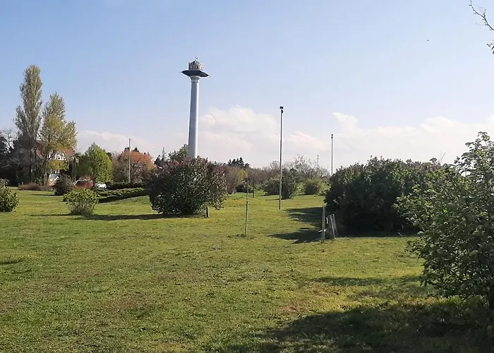 Bodzavirag * Balatonvilágos